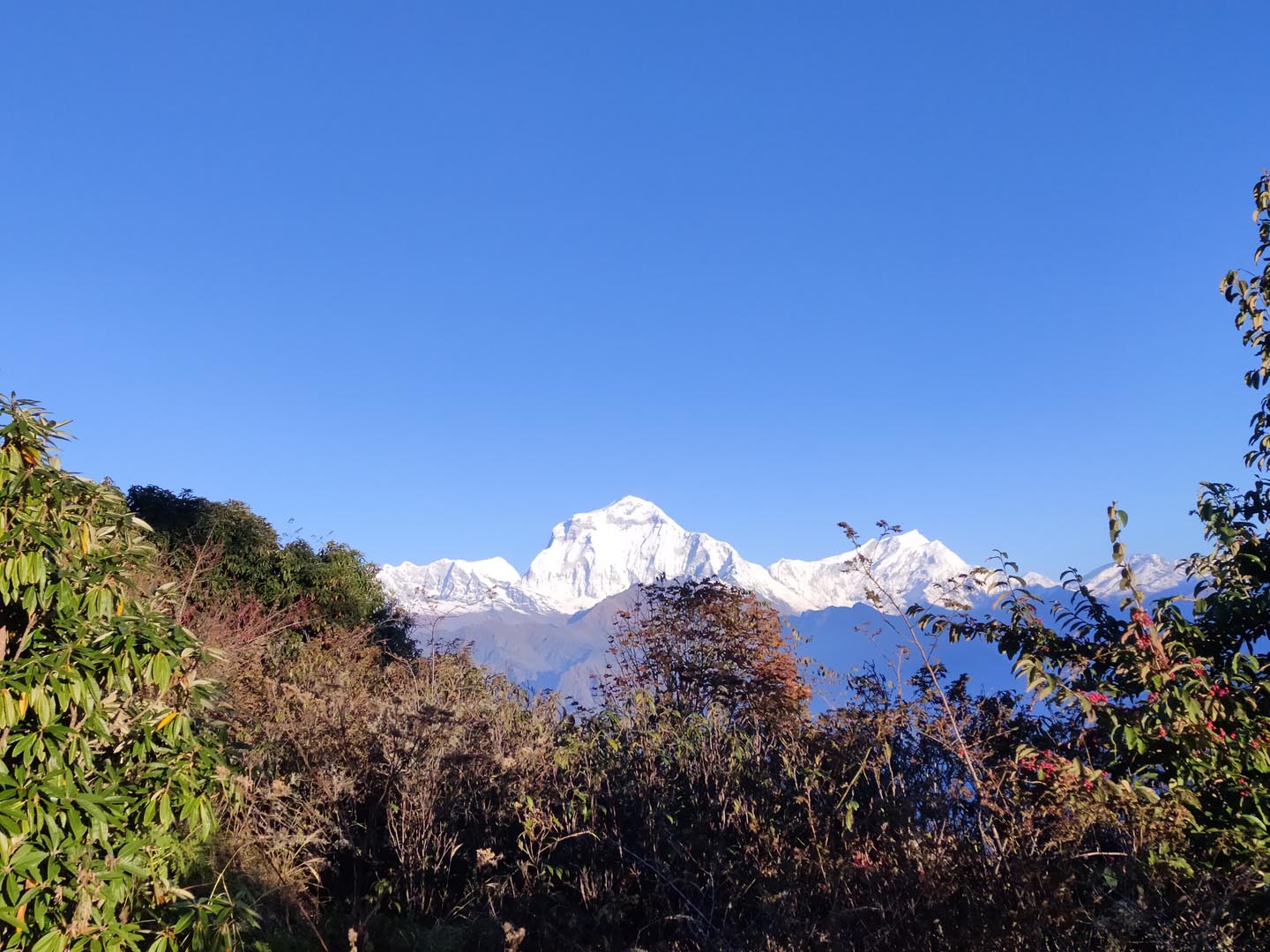 Annapurna..